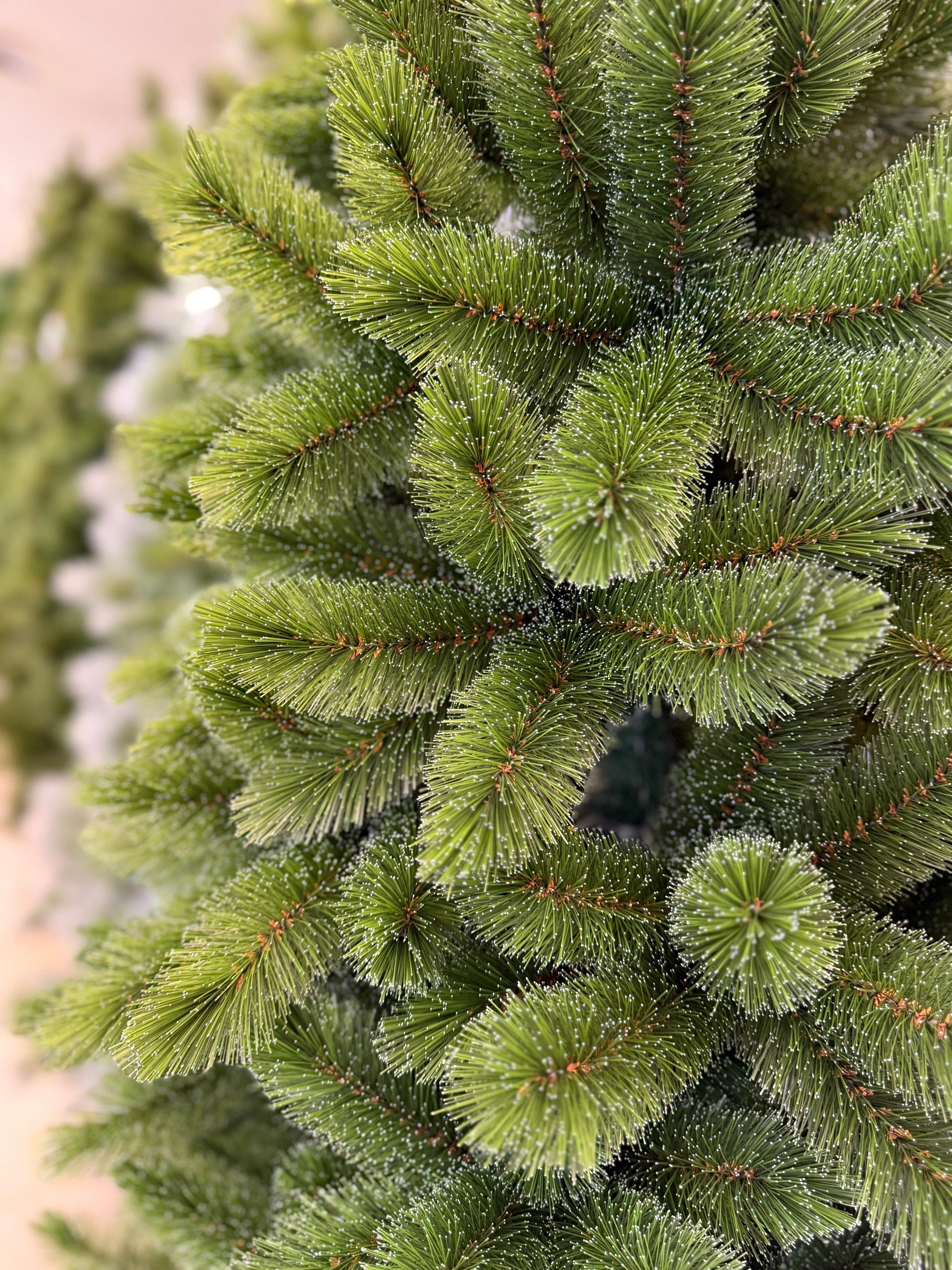 Árbol Yukon Verde Spruce