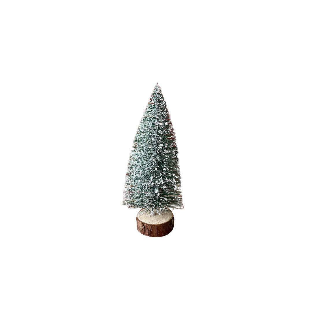 Árbol Cepillo Verde Nevado