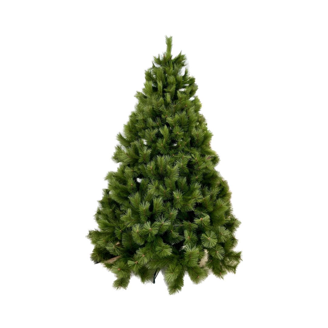 Árbol Montgomery