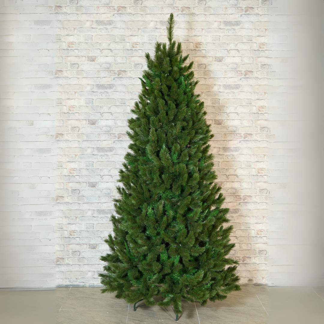 Árbol Rossmoor