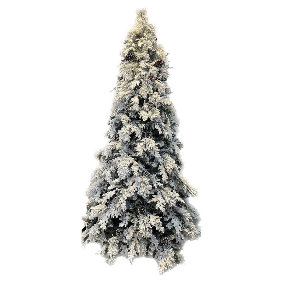 Árbol needle Piñas