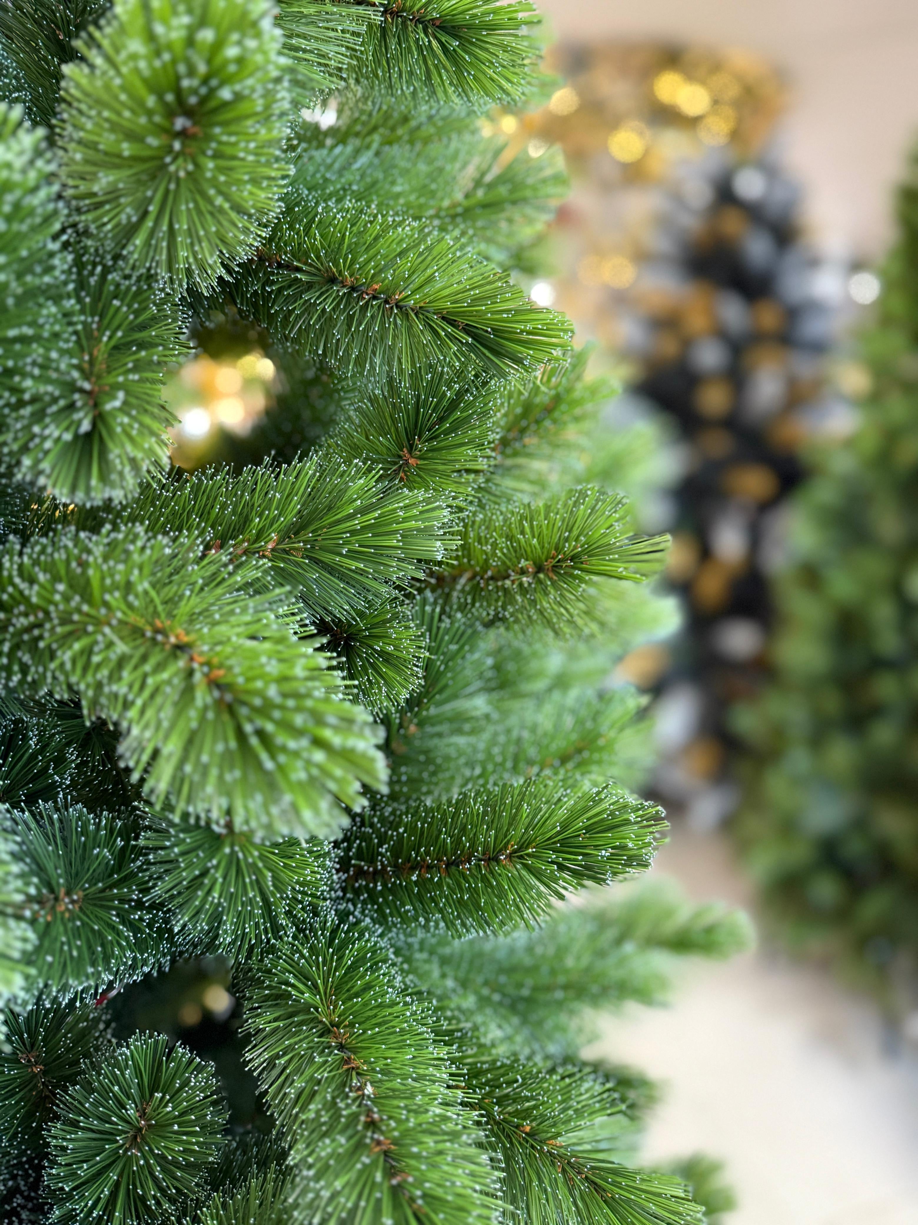 Árbol Yukon Verde Spruce