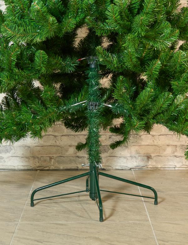 Árbol siberian spruce