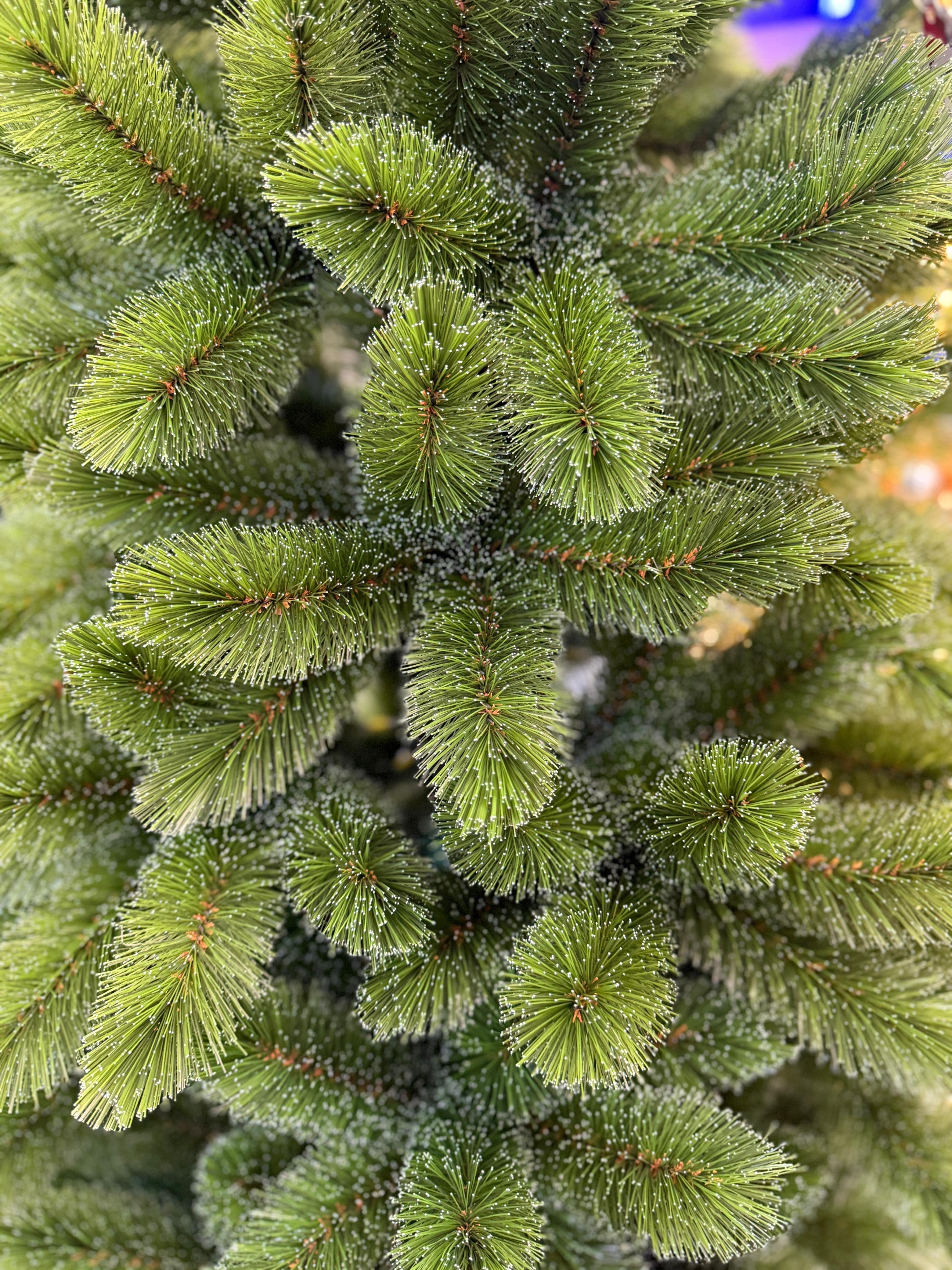 Árbol Yukon Verde Spruce