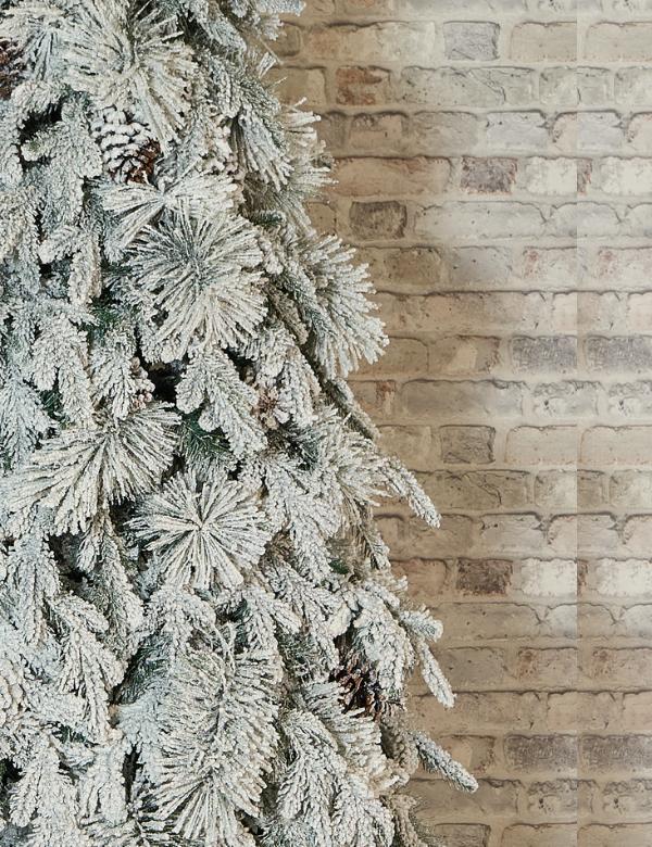 Árbol Nevado Piñas Escarcha