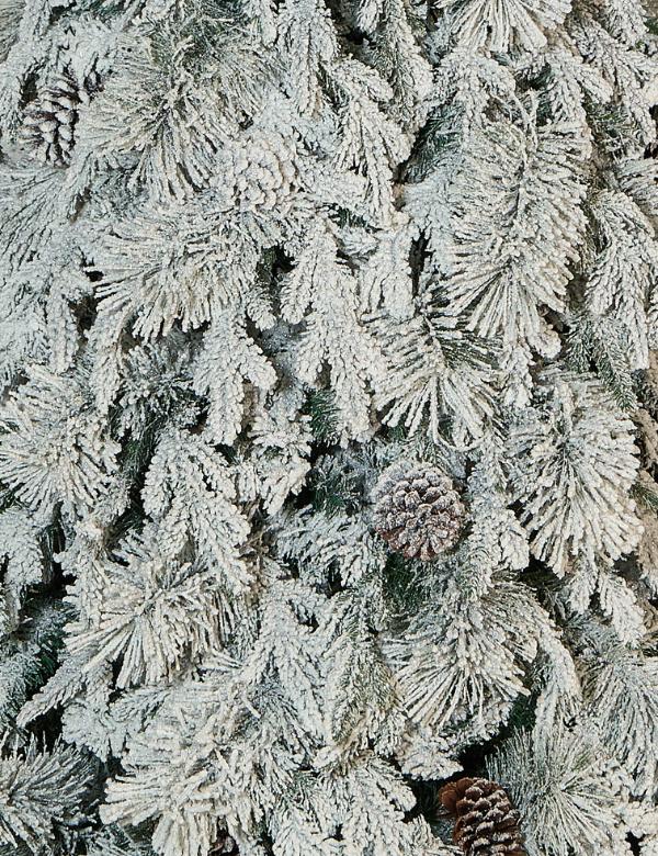 Árbol Nevado Piñas Escarcha