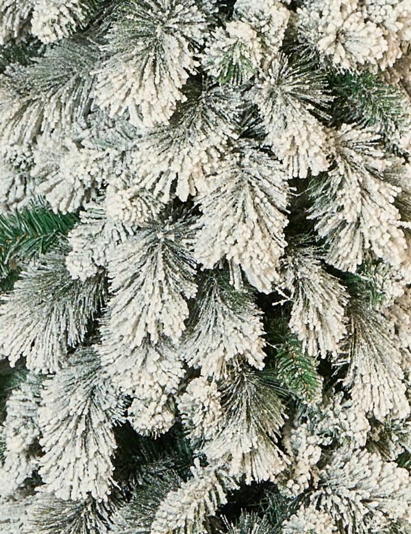 Árbol Pencil Nevado