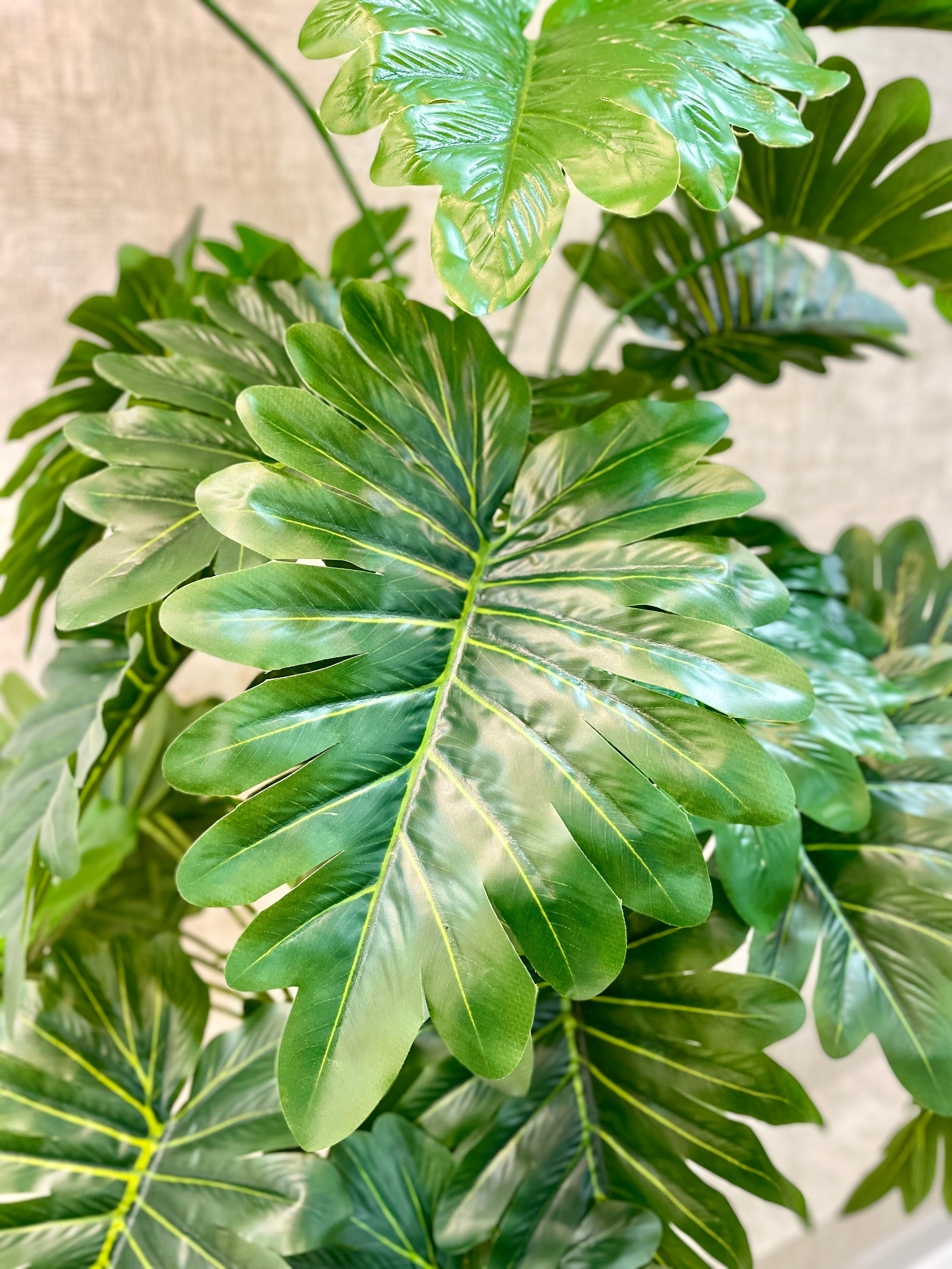 Planta x3 Troncos Hojas Verde