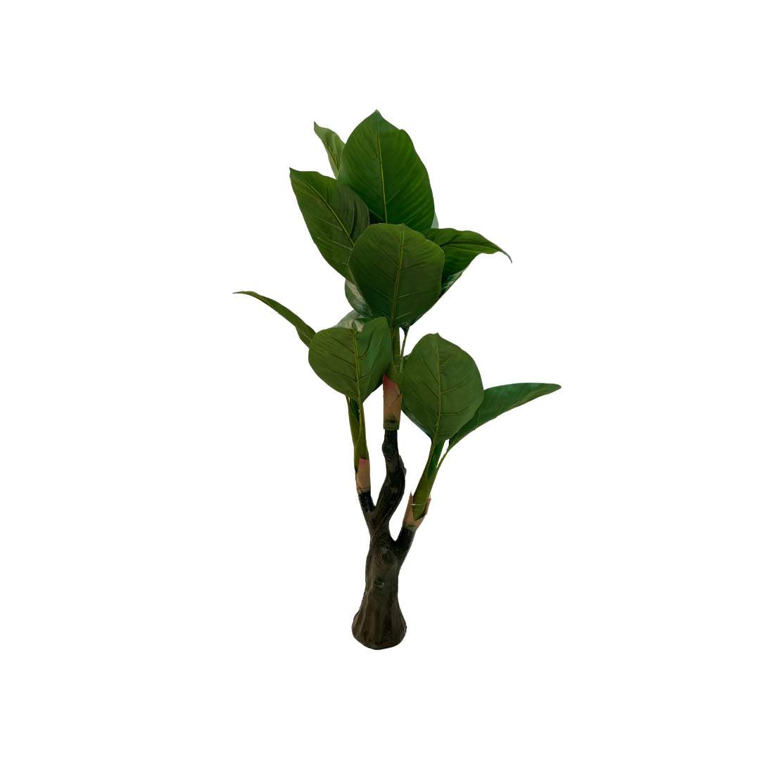 Planta x3 Troncos Hojas Platano